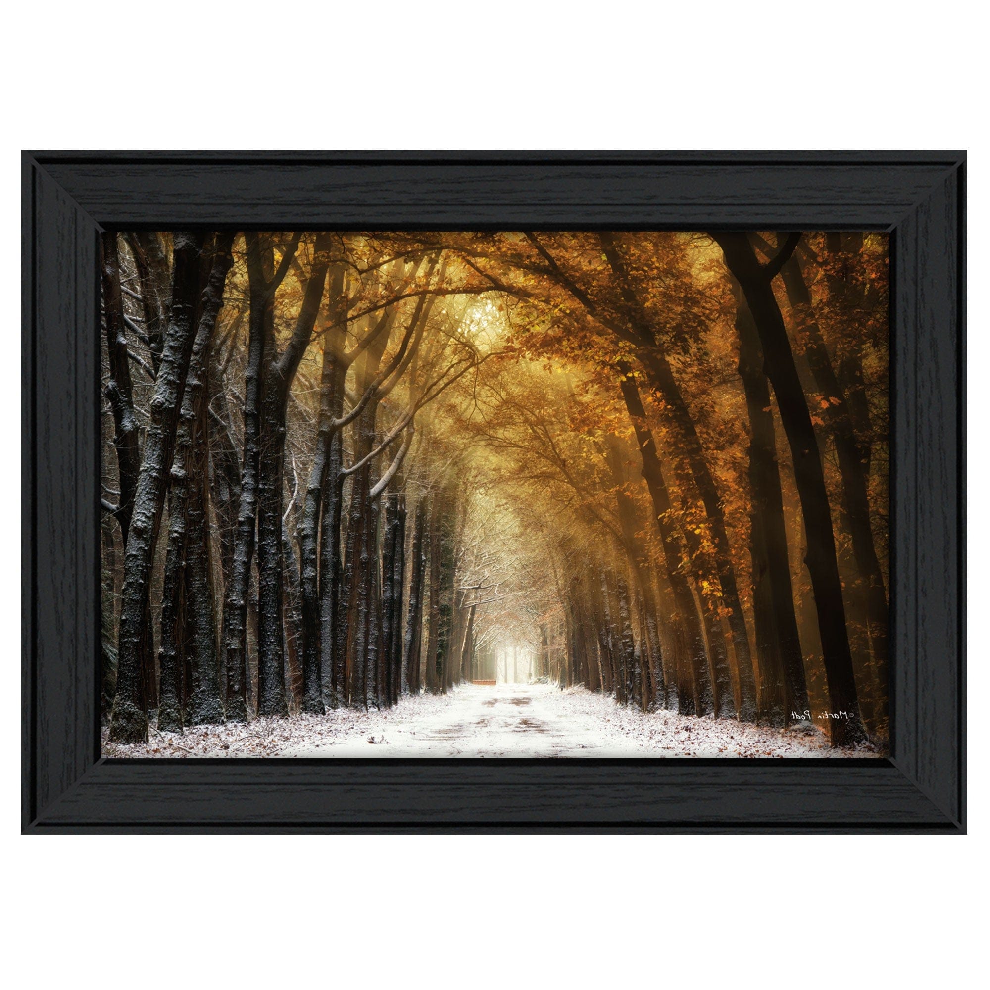 Autumn to Winter Black Framed Print Wall Art - Homeroots
