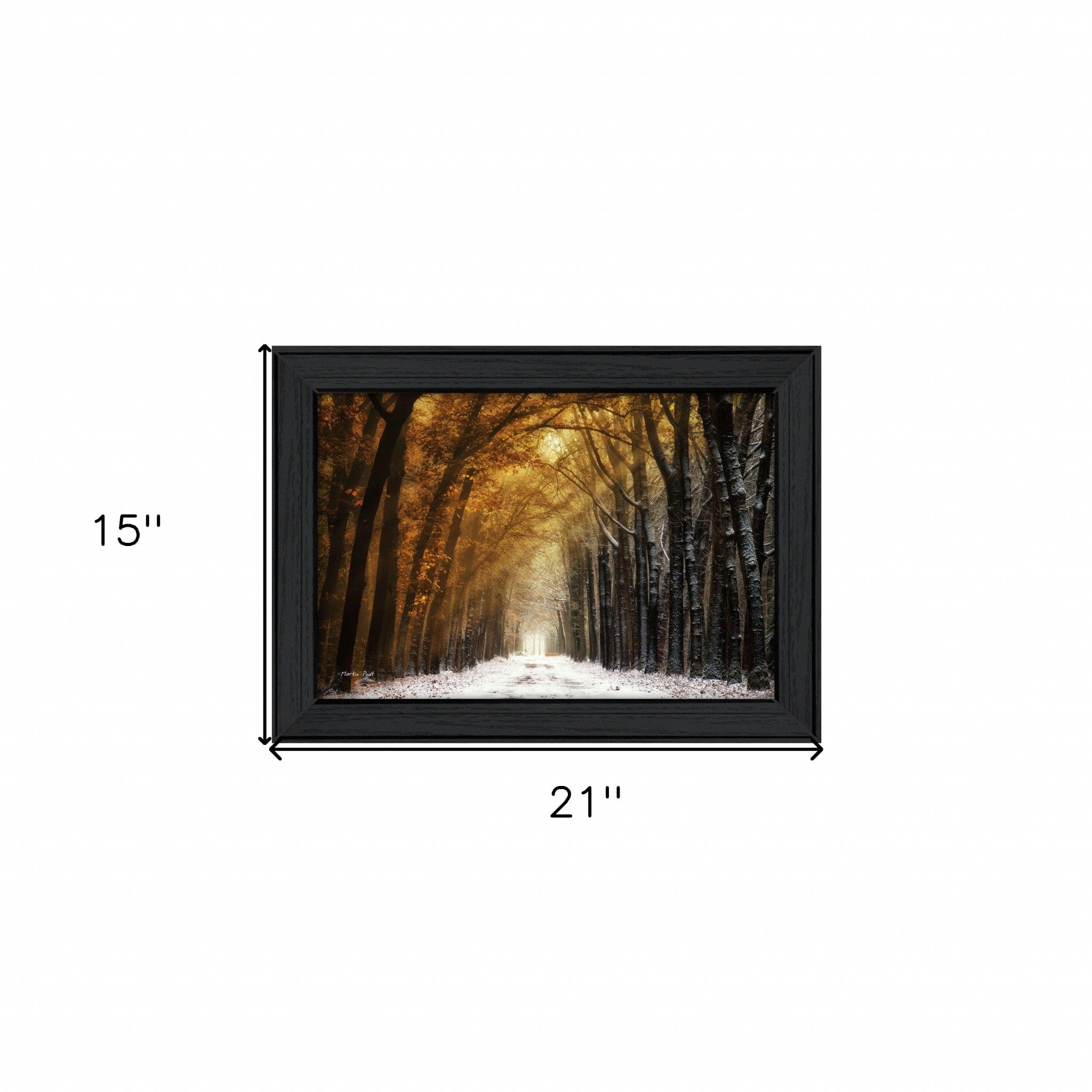 Autumn to Winter Black Framed Print Wall Art - Homeroots