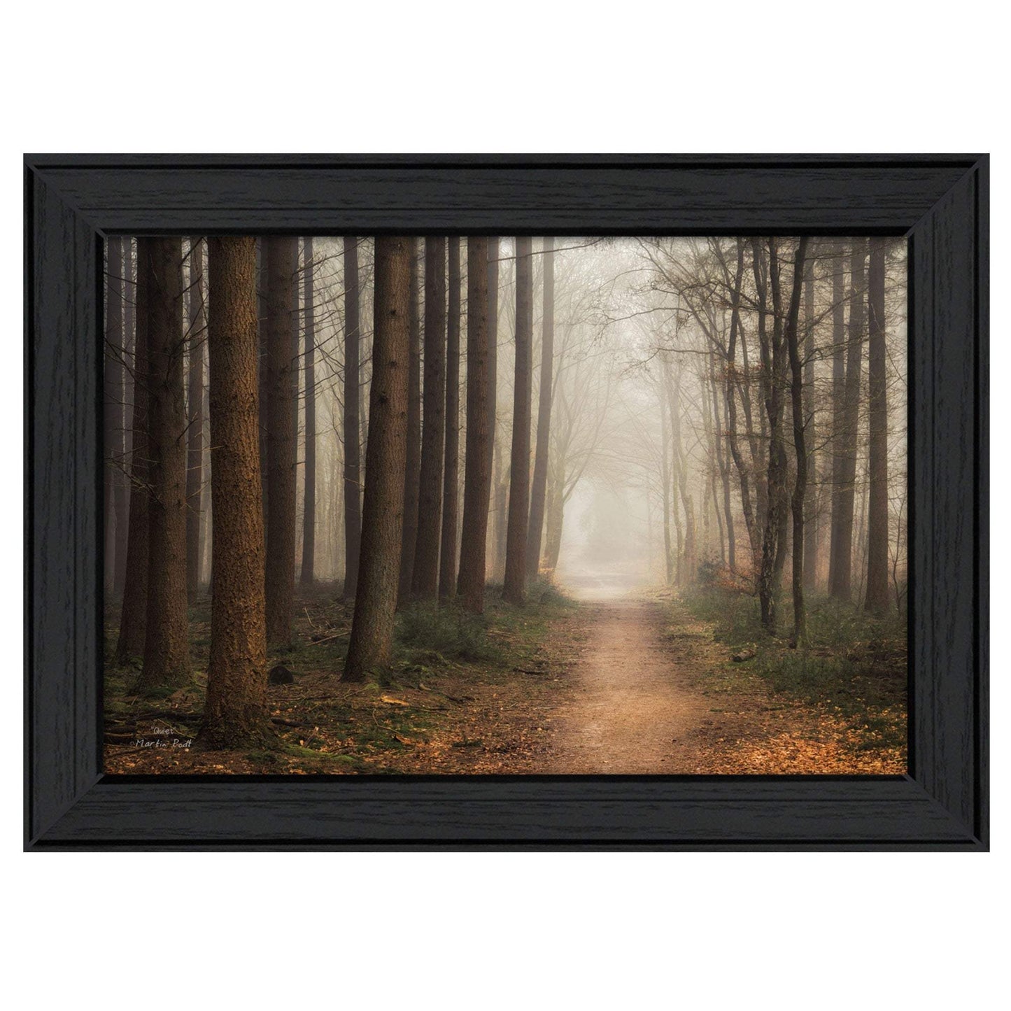 Quiet Black Framed Print Wall Art - Homeroots - Flyclothing LLC