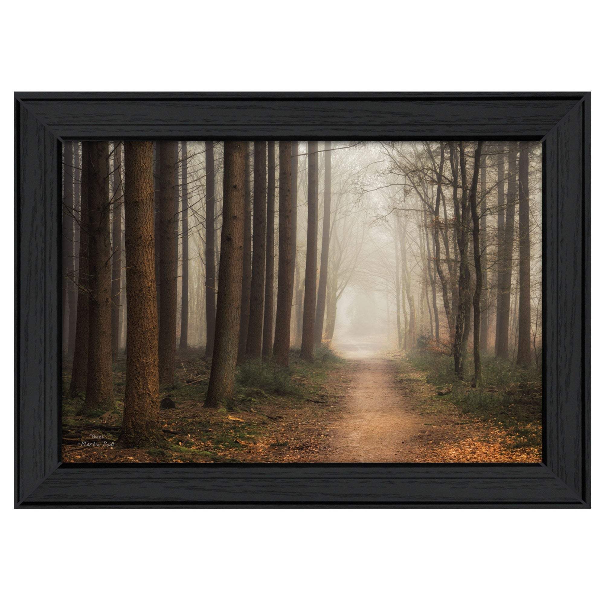 Quiet Black Framed Print Wall Art - Homeroots - Flyclothing LLC