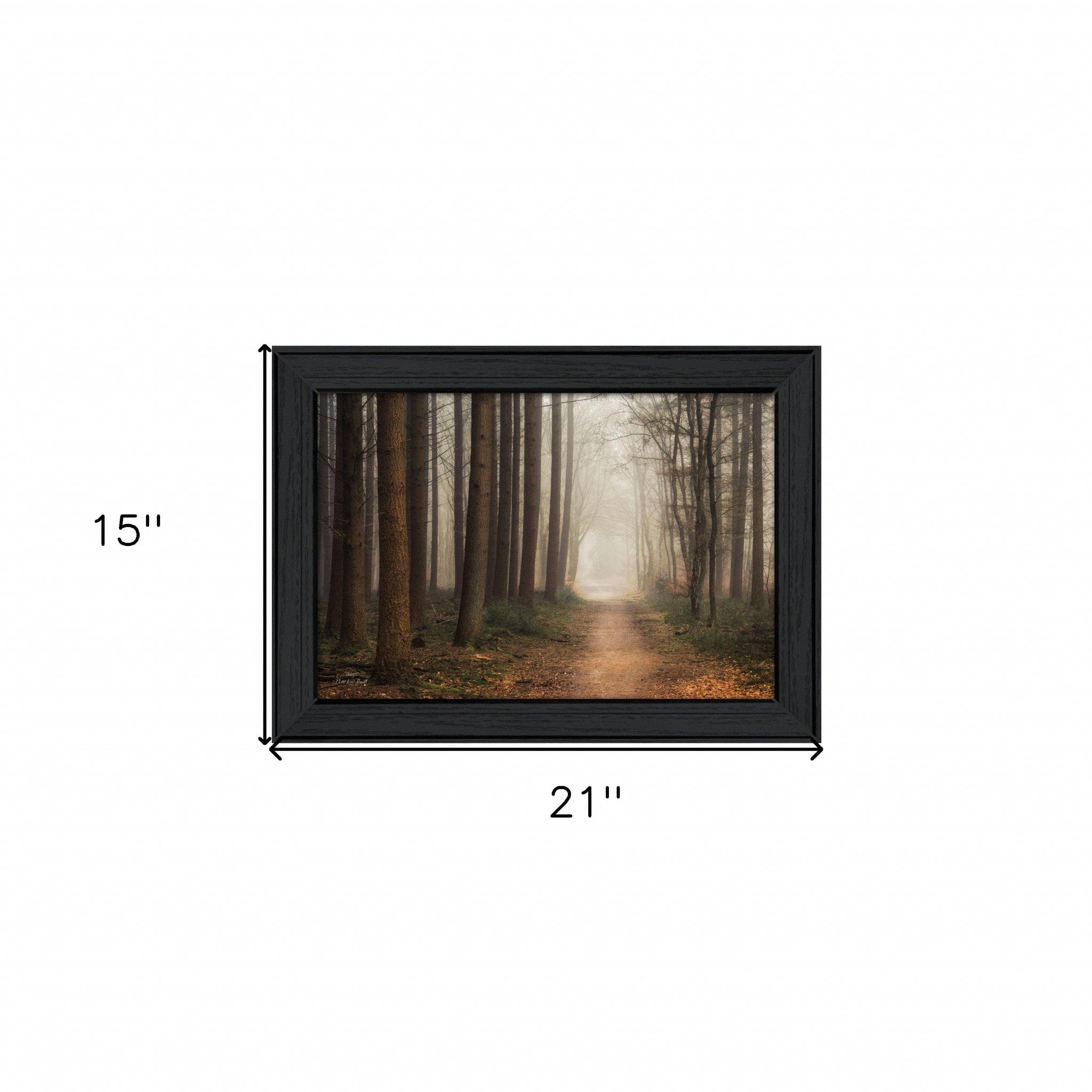 Quiet Black Framed Print Wall Art - Homeroots