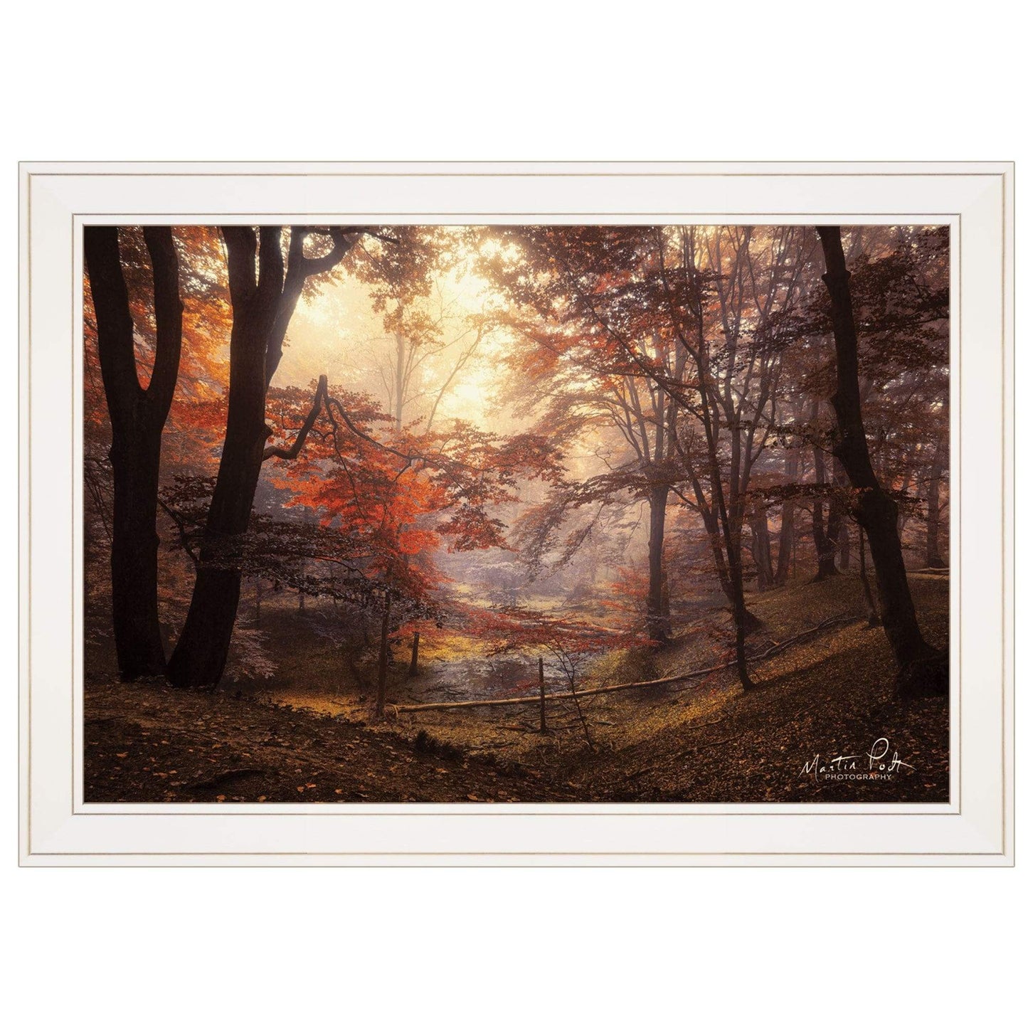 The Pool 1 White Framed Print Wall Art - Homeroots - Flyclothing LLC