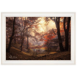 The Pool 1 White Framed Print Wall Art - Homeroots