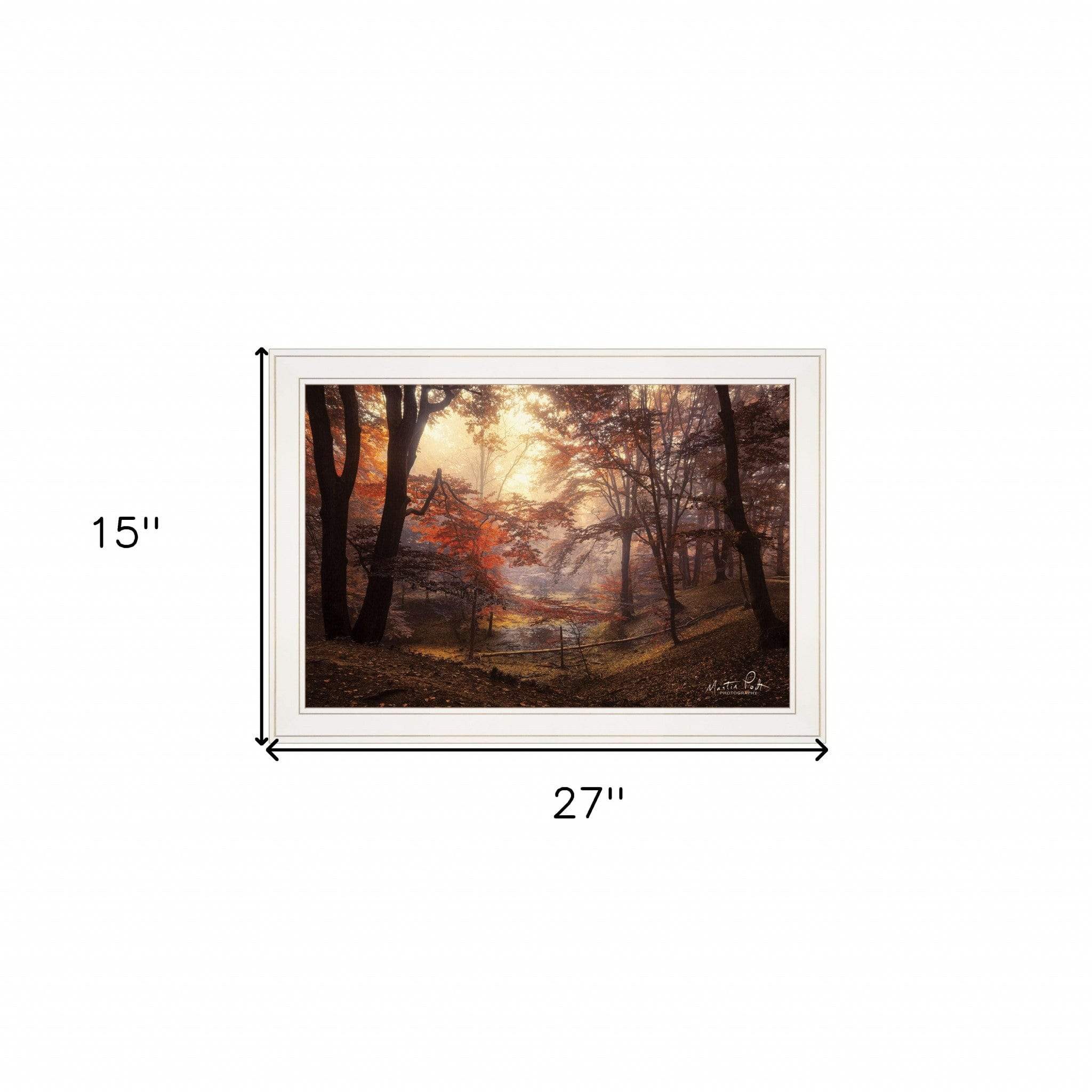 The Pool 1 White Framed Print Wall Art - Homeroots - Flyclothing LLC