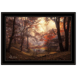 The Pool 2 Black Framed Print Wall Art - Homeroots