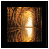 Lochem Reflections 2 Black Framed Print Wall Art - Homeroots