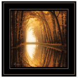 Lochem Reflections 2 Black Framed Print Wall Art - Homeroots