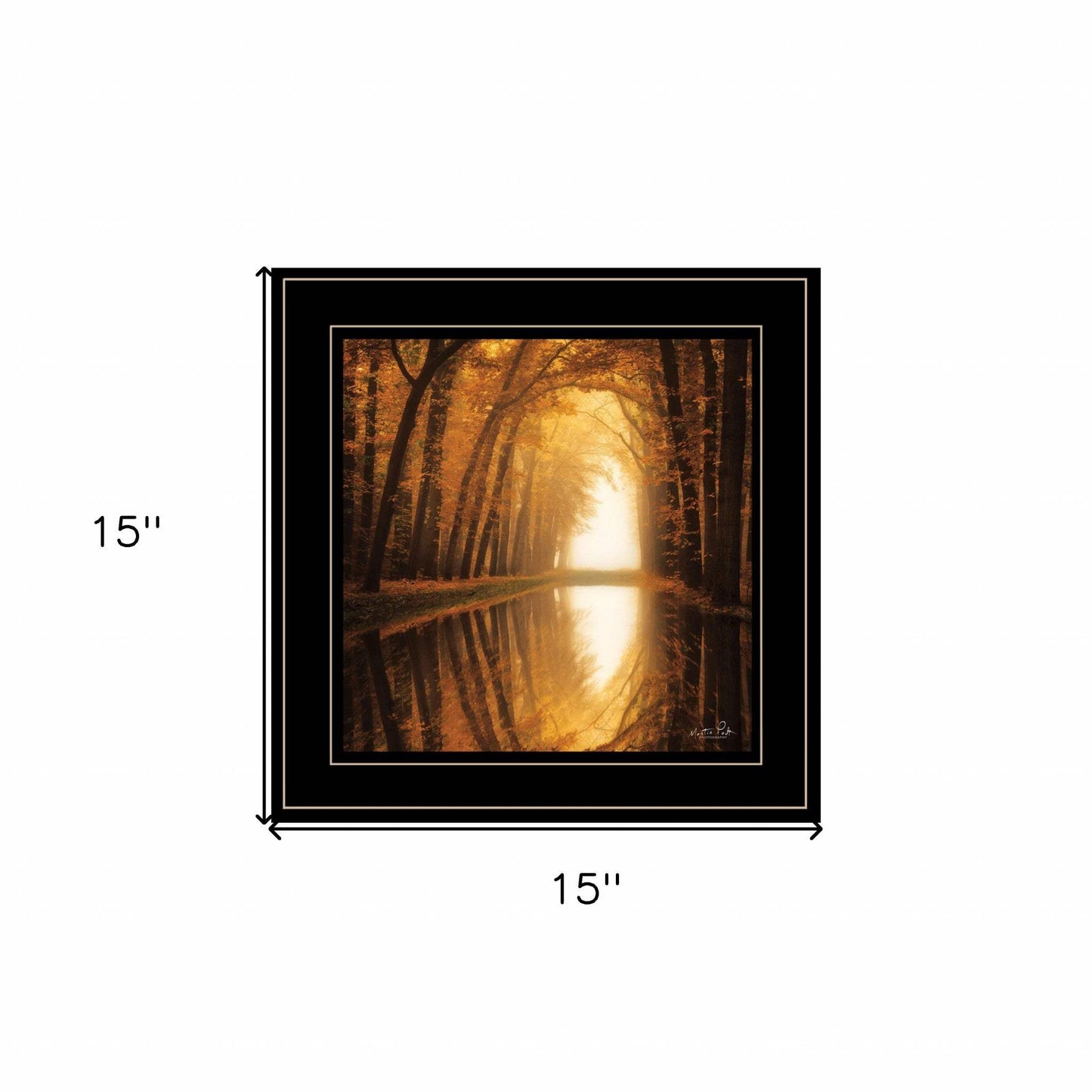 Lochem Reflections 2 Black Framed Print Wall Art - Homeroots - Flyclothing LLC