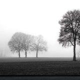 Together Again 3 Black Framed Print Wall Art - Homeroots - Flyclothing LLC