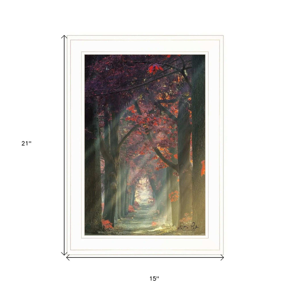 Path of Happiness 1 White Framed Print Wall Art - Homeroots - Flyclothing LLC
