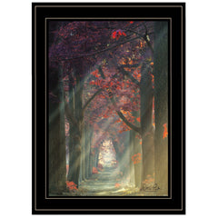 Path of Happiness 2 Black Framed Print Wall Art - Homeroots