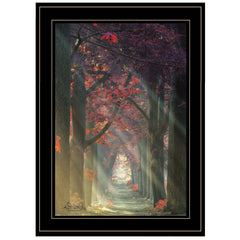Path of Happiness 2 Black Framed Print Wall Art - Homeroots
