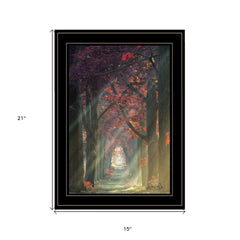 Path of Happiness 2 Black Framed Print Wall Art - Homeroots
