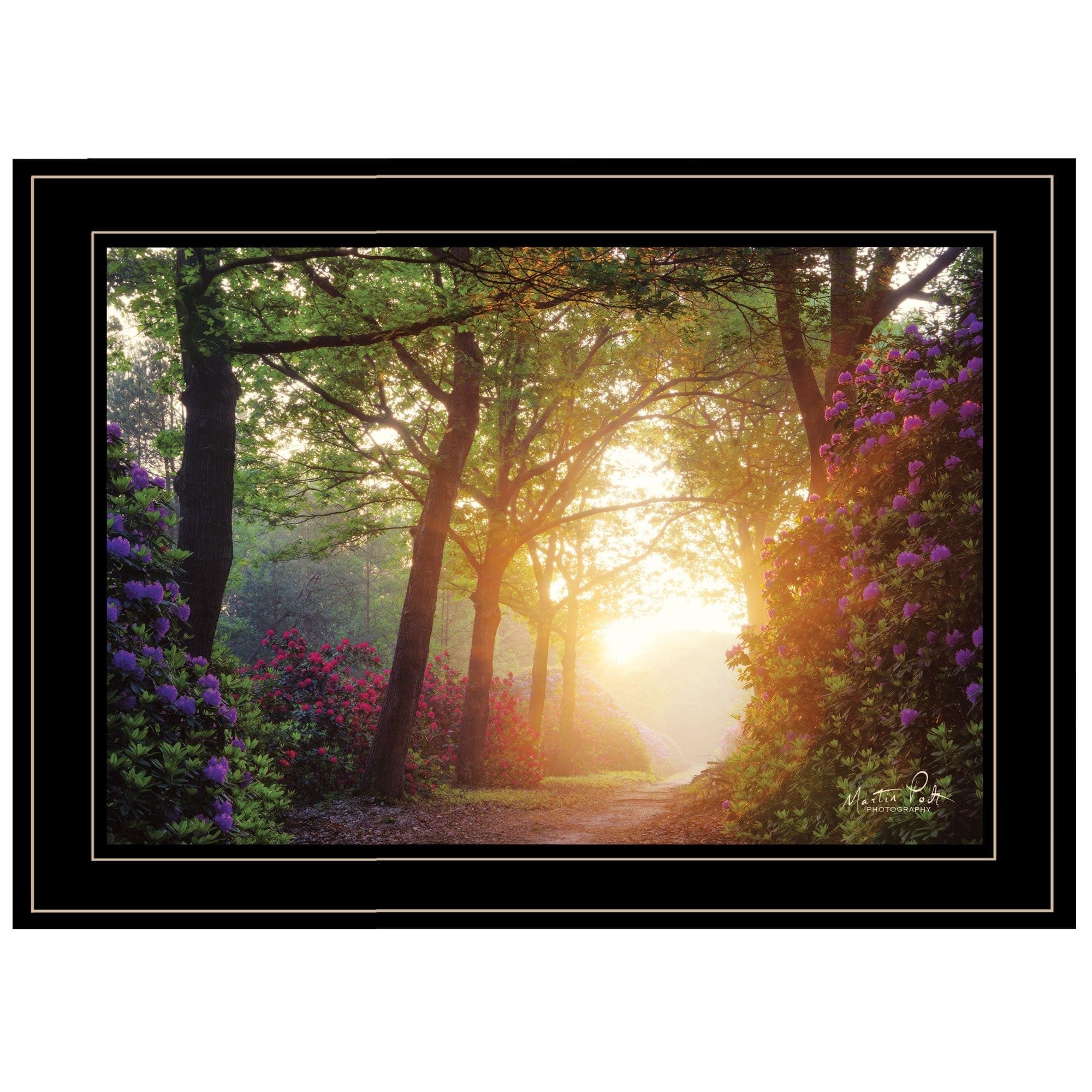 Color Overdose 2 Black Framed Print Wall Art - Homeroots