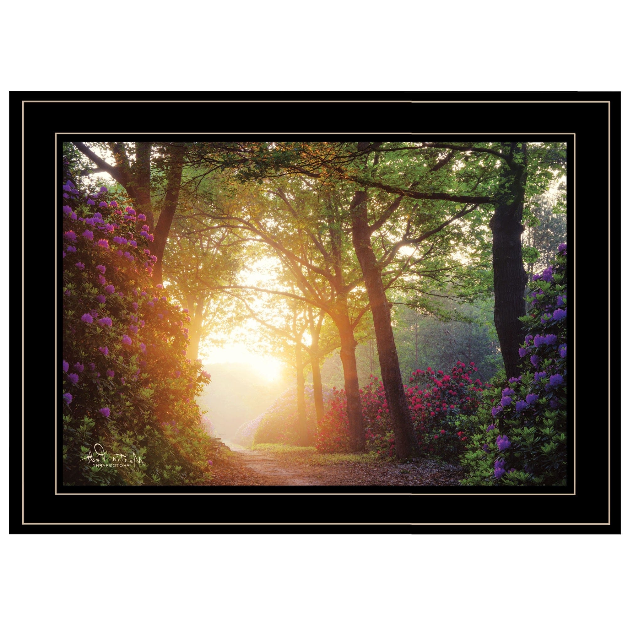 Color Overdose 2 Black Framed Print Wall Art - Homeroots