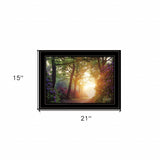 Color Overdose 2 Black Framed Print Wall Art - Homeroots - Flyclothing LLC