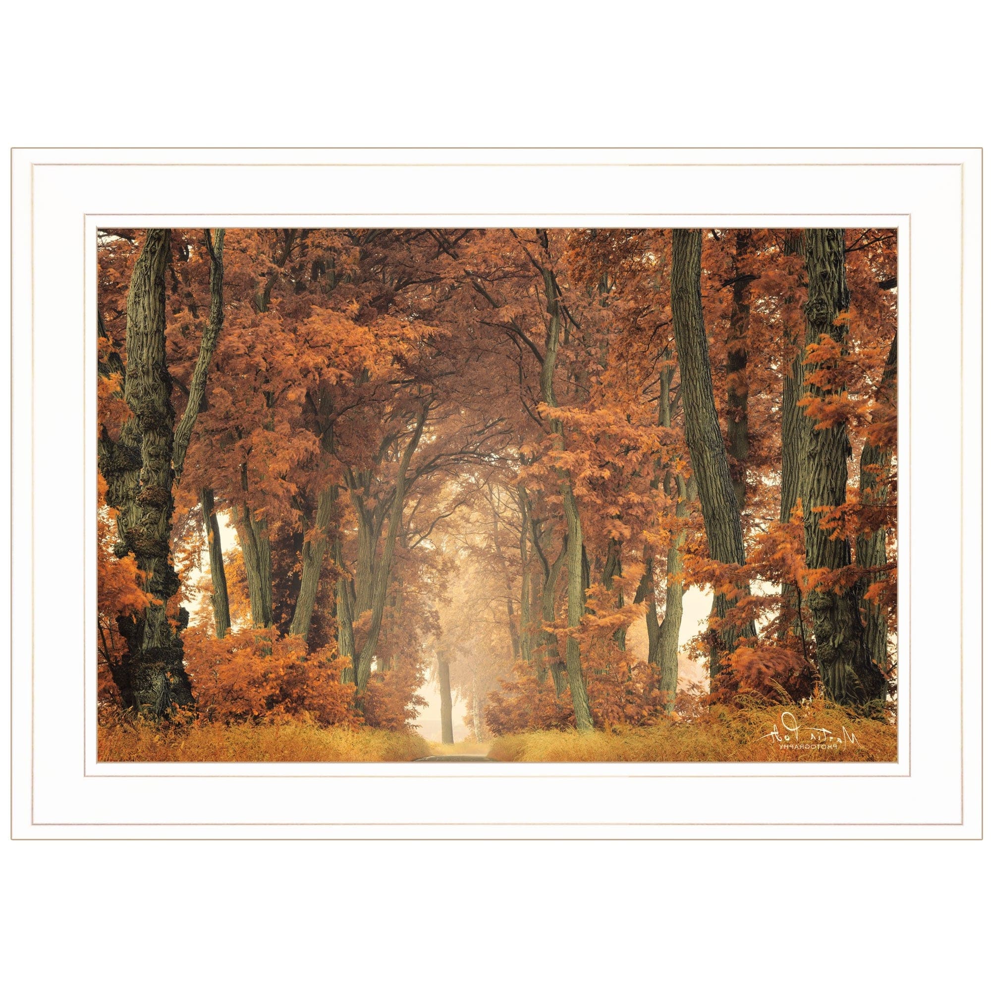 Follow Your Own Way 1 White Framed Print Wall Art - Homeroots