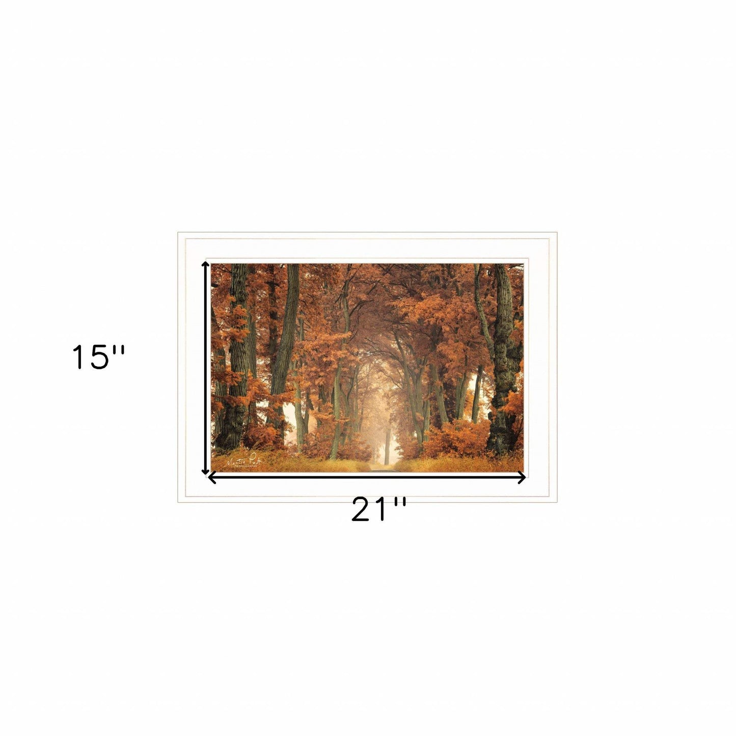 Follow Your Own Way 1 White Framed Print Wall Art - Homeroots - Flyclothing LLC