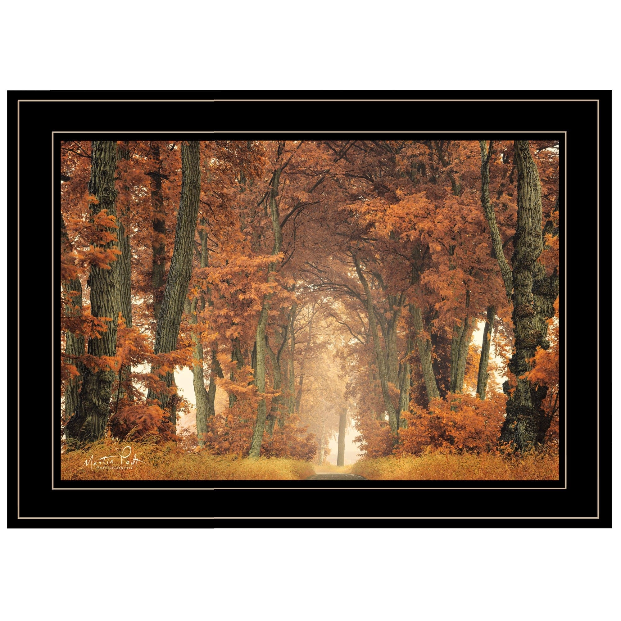 Follow Your Own Way 2 Black Framed Print Wall Art - Homeroots