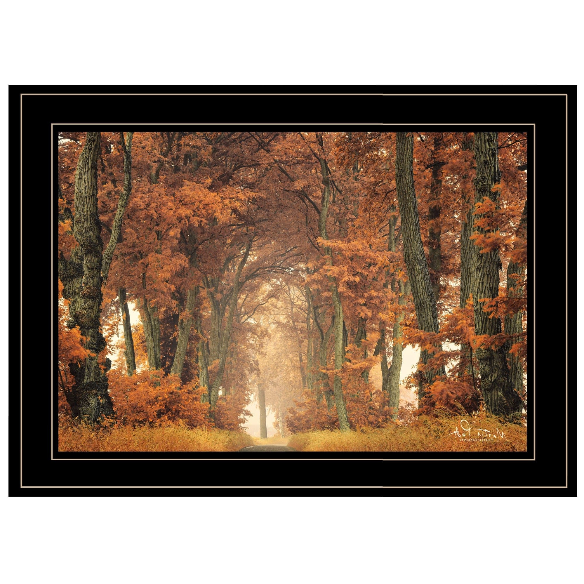 Follow Your Own Way 2 Black Framed Print Wall Art - Homeroots