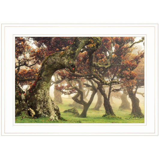 Fanal White Framed Print Wall Art - Homeroots