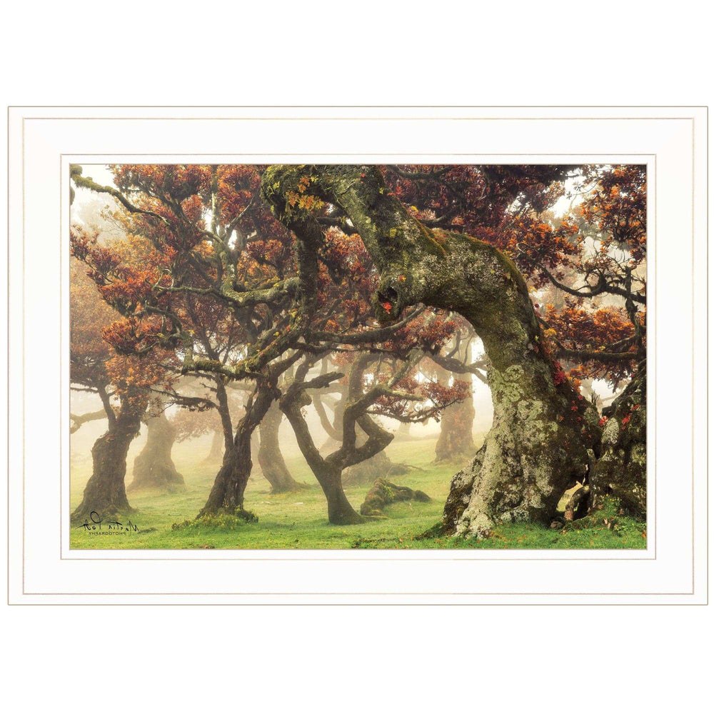 Fanal White Framed Print Wall Art - Homeroots - Flyclothing LLC