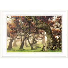 Fanal White Framed Print Wall Art - Homeroots