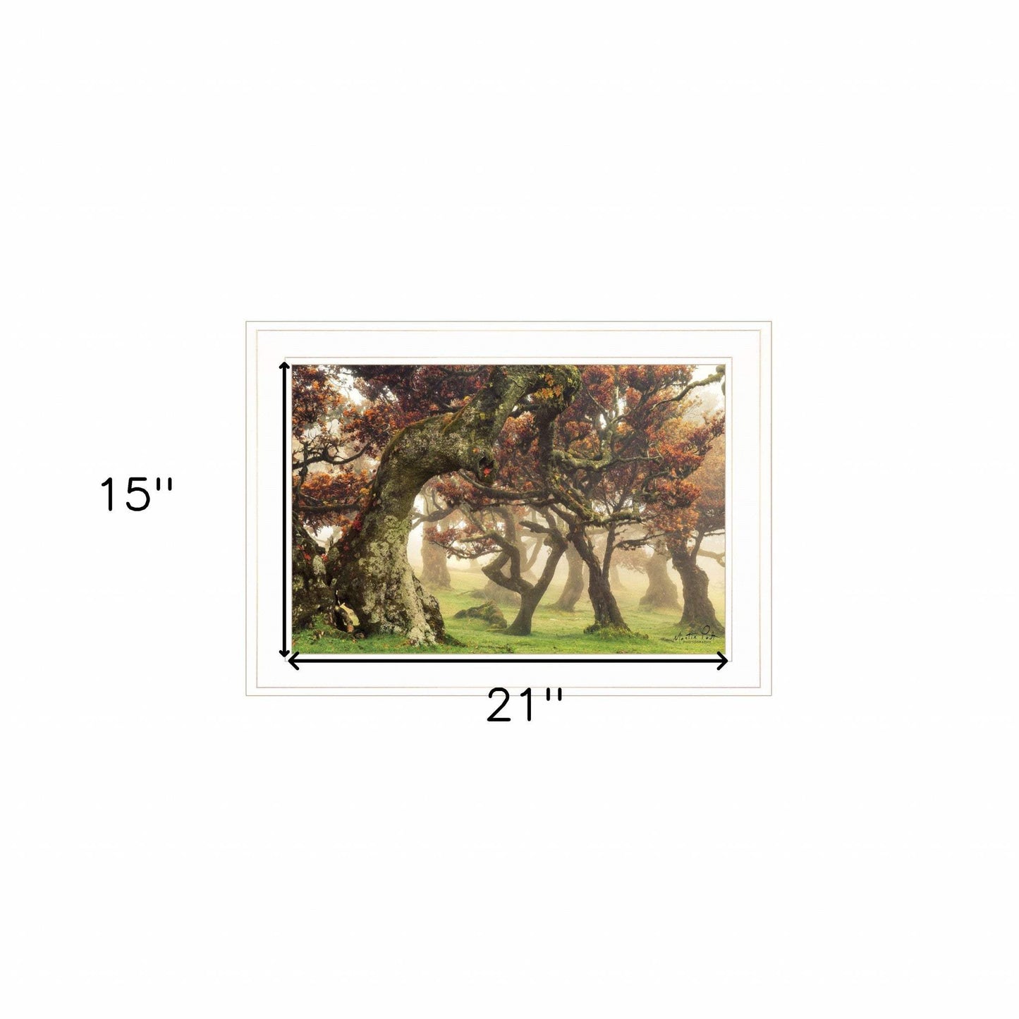 Fanal White Framed Print Wall Art - Homeroots - Flyclothing LLC