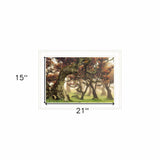 Fanal White Framed Print Wall Art - Homeroots - Flyclothing LLC