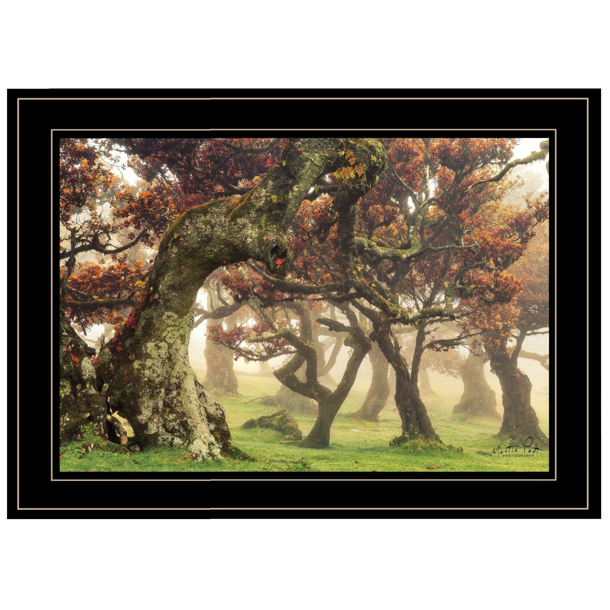 Fanal Martin Podt Ready to Hang Framed Print Black Frame Black Framed Print Wall Art - Homeroots