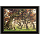Fanal Martin Podt Ready to Hang Framed Print Black Frame Black Framed Print Wall Art - Homeroots - Flyclothing LLC