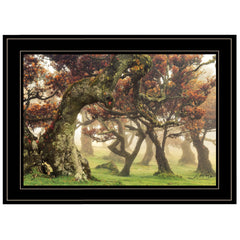 Fanal Martin Podt Ready to Hang Framed Print Black Frame Black Framed Print Wall Art - Homeroots
