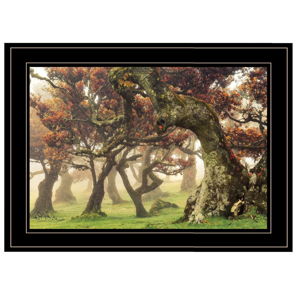 Fanal Martin Podt Ready to Hang Framed Print Black Frame Black Framed Print Wall Art - Homeroots - Flyclothing LLC