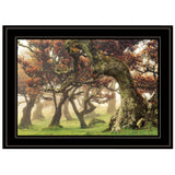 Fanal Martin Podt Ready to Hang Framed Print Black Frame Black Framed Print Wall Art - Homeroots