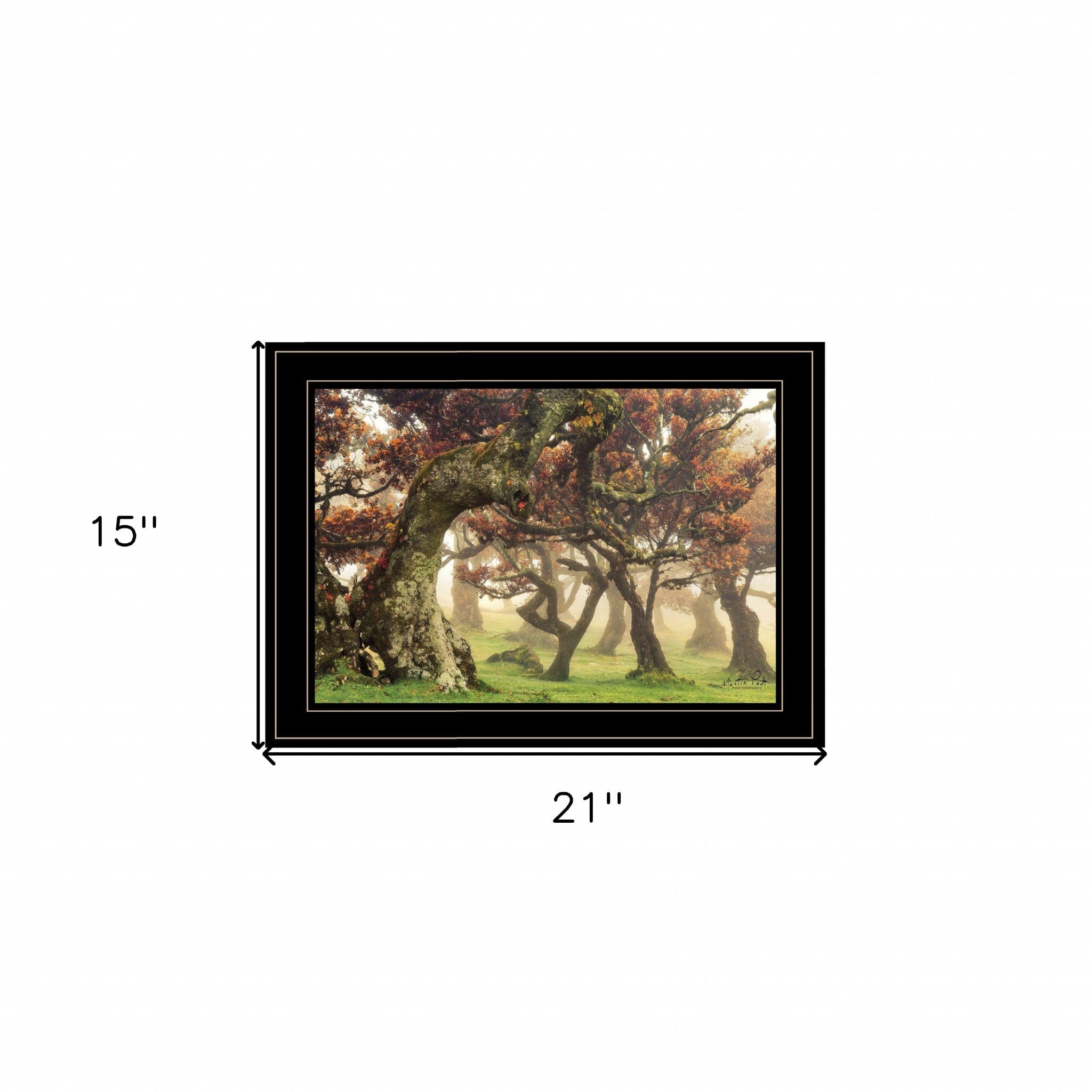 Fanal Martin Podt Ready to Hang Framed Print Black Frame Black Framed Print Wall Art - Homeroots