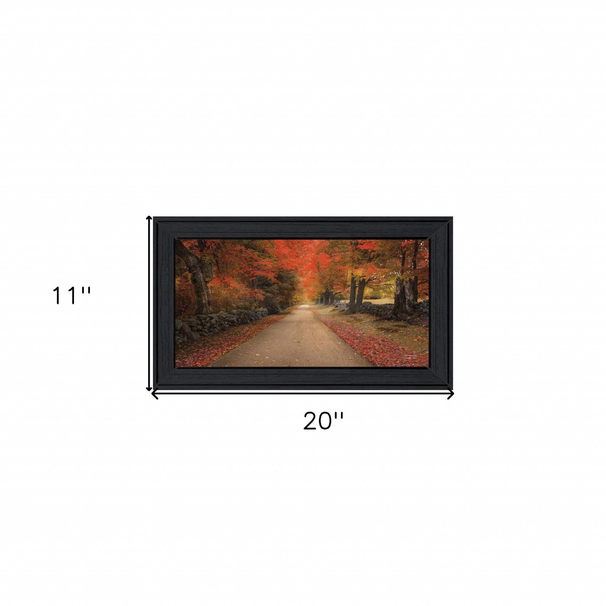 October Lane Black Framed Print Wall Art - Homeroots - Flyclothing LLC