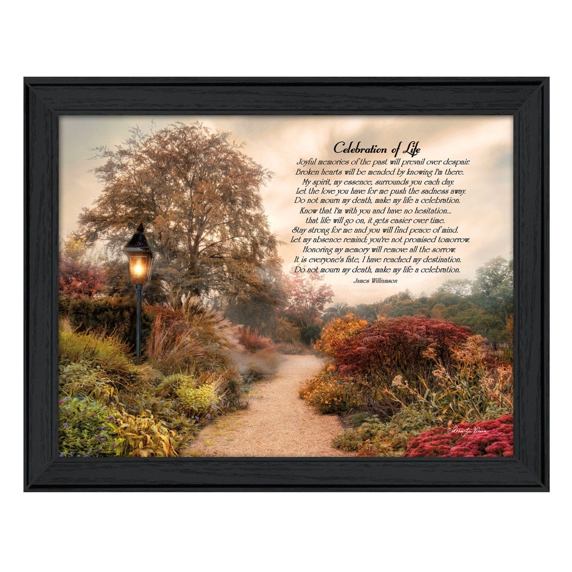 Celebration of Life Black Framed Print Wall Art - Homeroots