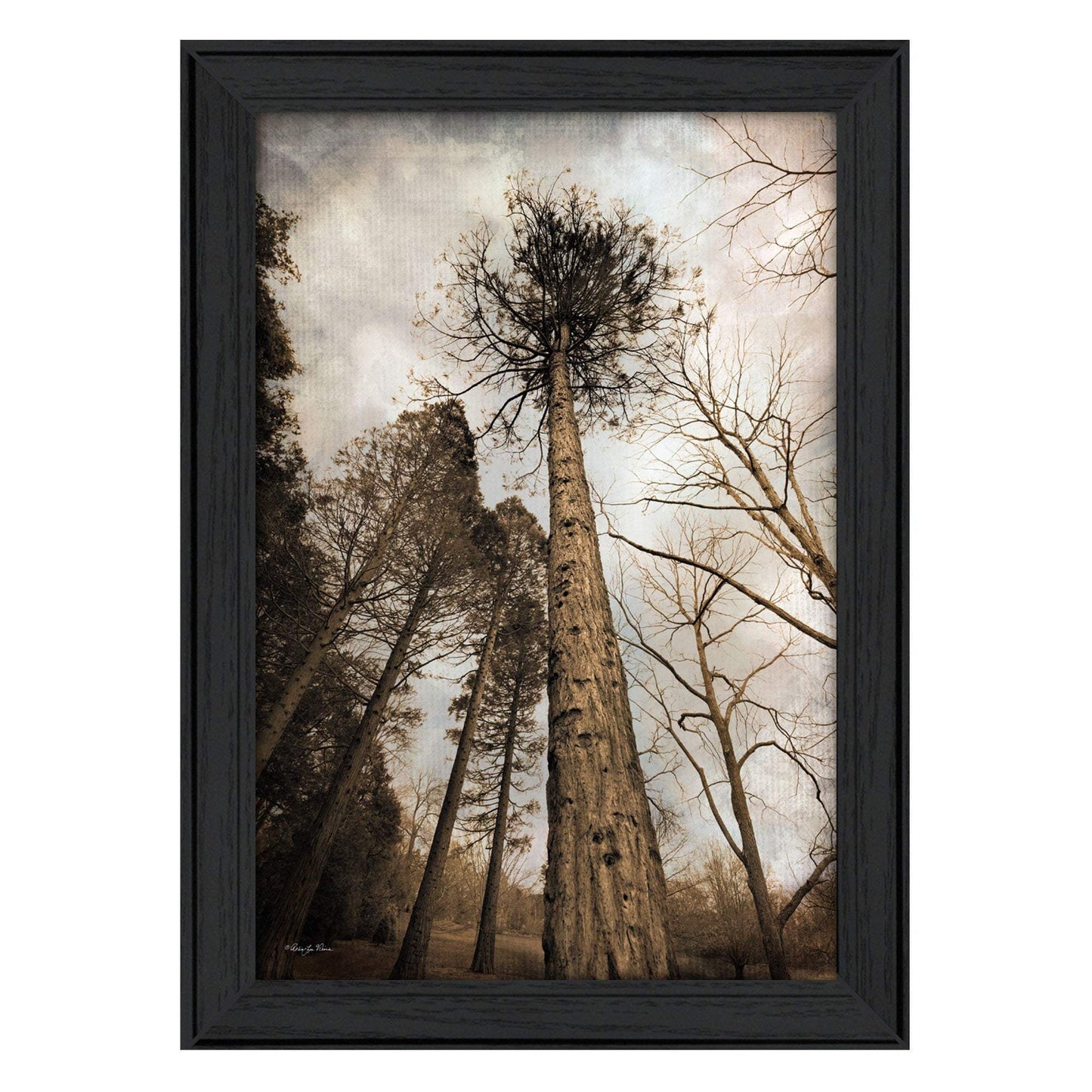 Skys the Limit Black Framed Print Wall Art - Homeroots - Flyclothing LLC
