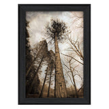 Skys the Limit Black Framed Print Wall Art - Homeroots - Flyclothing LLC
