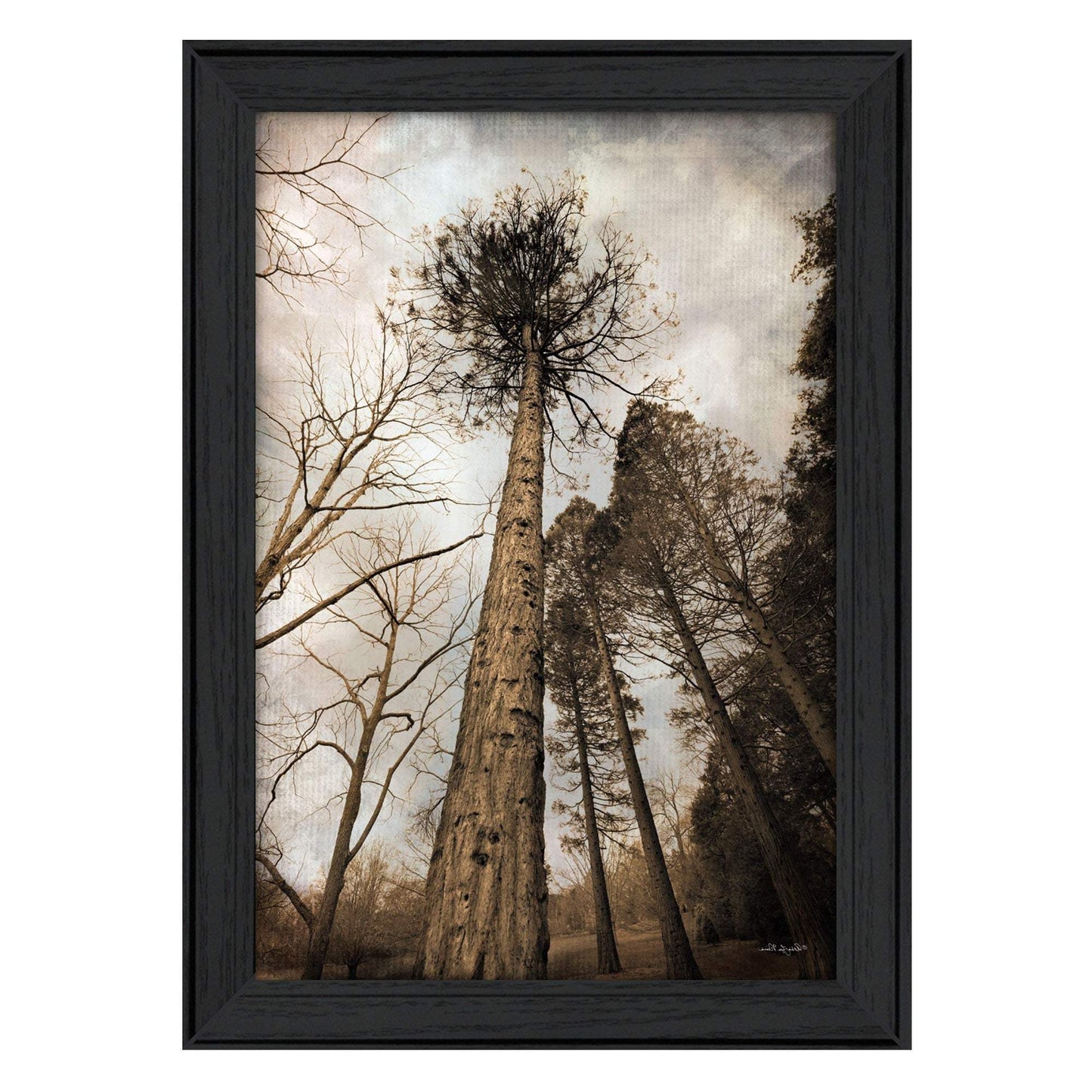 Skys the Limit Black Framed Print Wall Art - Homeroots - Flyclothing LLC