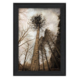 Skys the Limit Black Framed Print Wall Art - Homeroots - Flyclothing LLC
