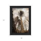 Skys the Limit Black Framed Print Wall Art - Homeroots - Flyclothing LLC