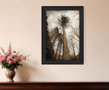 Skys the Limit Black Framed Print Wall Art - Homeroots - Flyclothing LLC