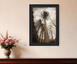 Skys the Limit Black Framed Print Wall Art - Homeroots - Flyclothing LLC