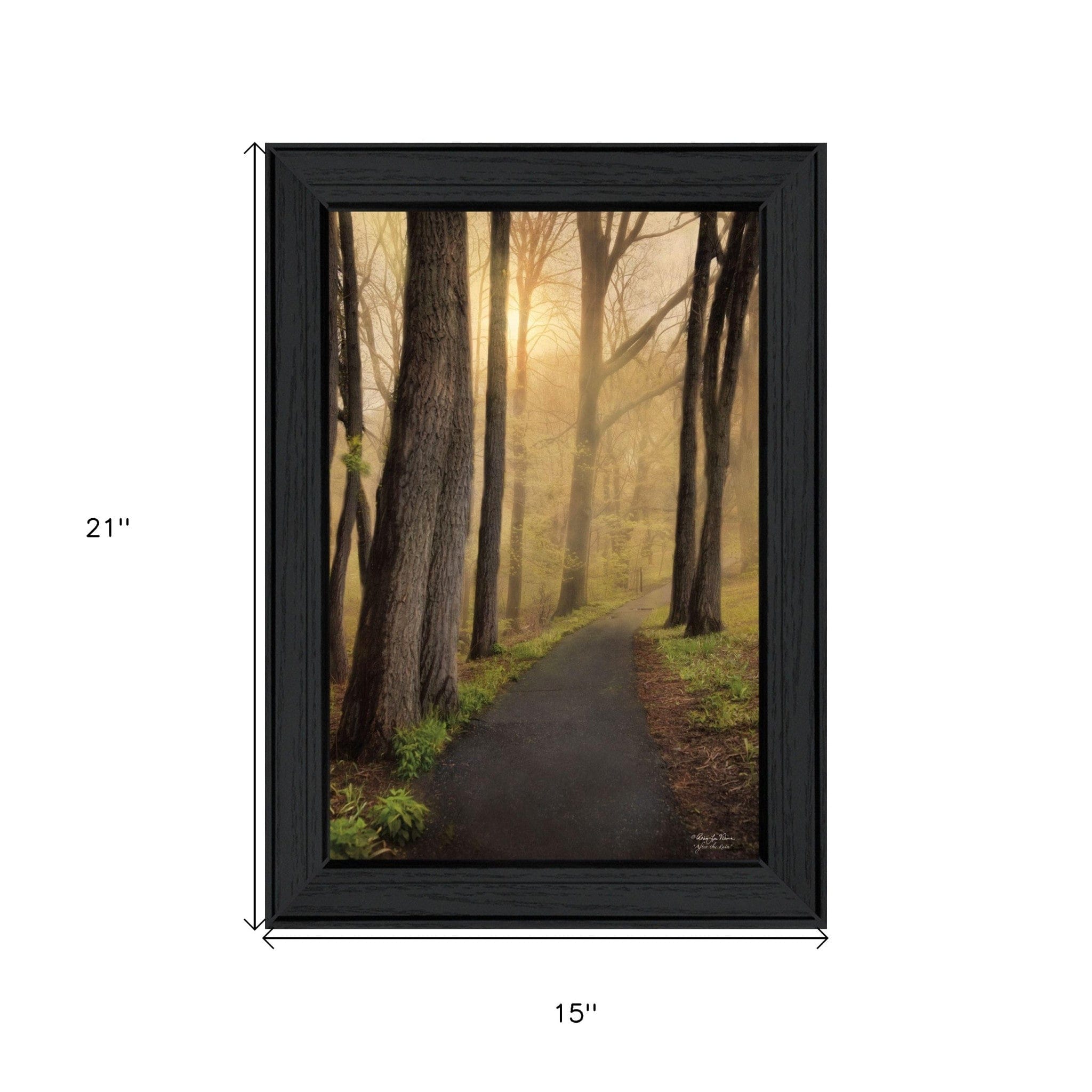 After The Rain Black Framed Print Wall Art - Homeroots