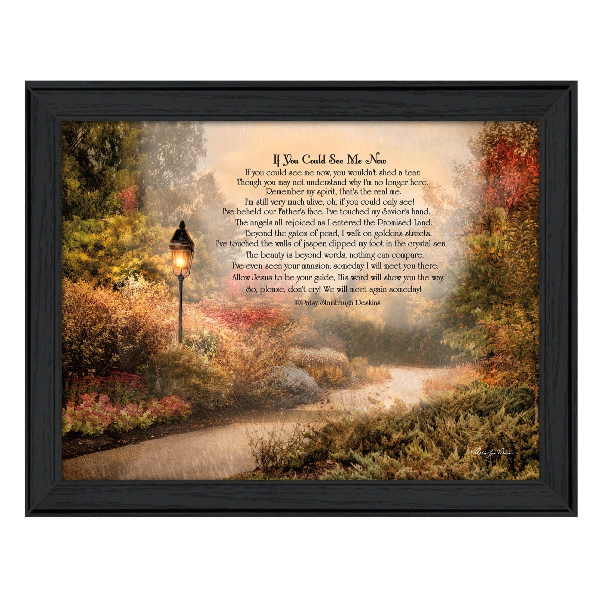 If You Could See Me Now 3 Black Framed Print Wall Art - Homeroots
