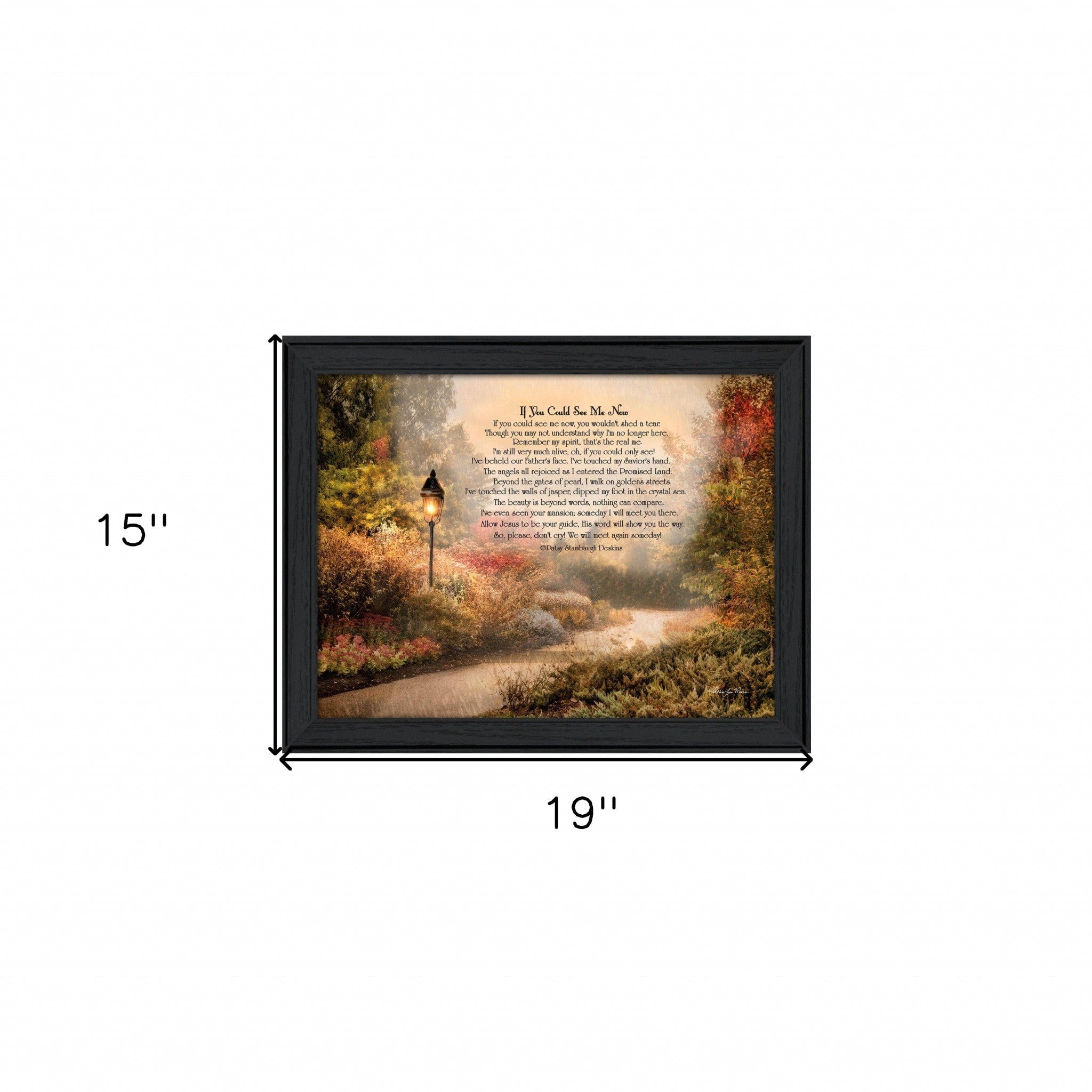 If You Could See Me Now 3 Black Framed Print Wall Art - Homeroots