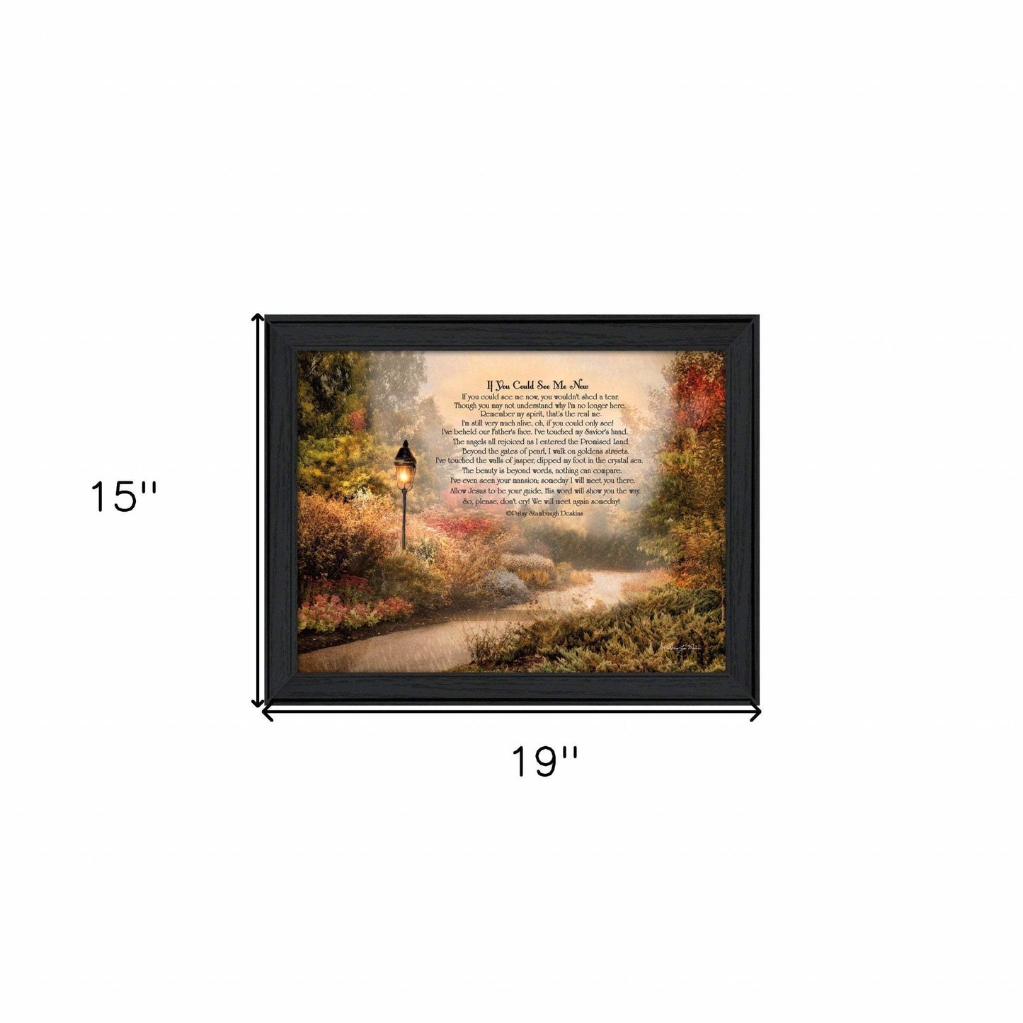 If You Could See Me Now 3 Black Framed Print Wall Art - Homeroots - Flyclothing LLC