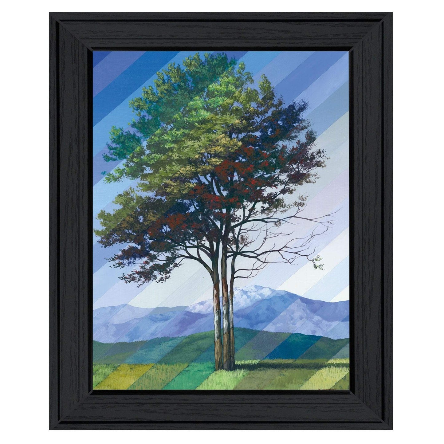 Catching Light as Time Passes 2 Black Framed Print Wall Art - Homeroots - Flyclothing LLC