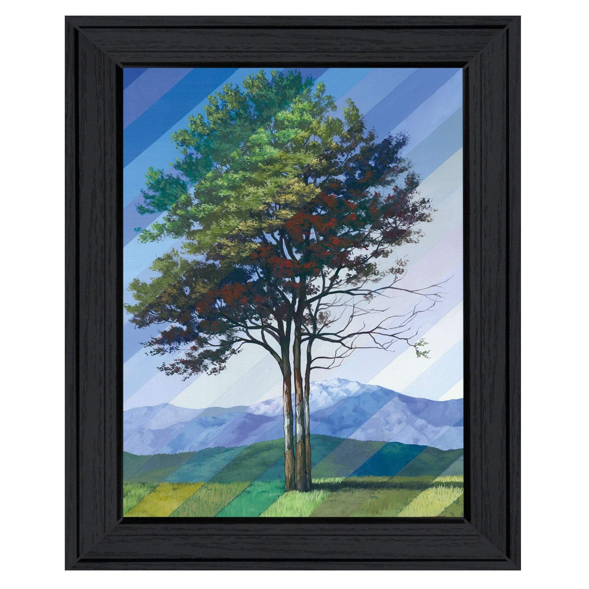 Catching Light as Time Passes 2 Black Framed Print Wall Art - Homeroots - Flyclothing LLC